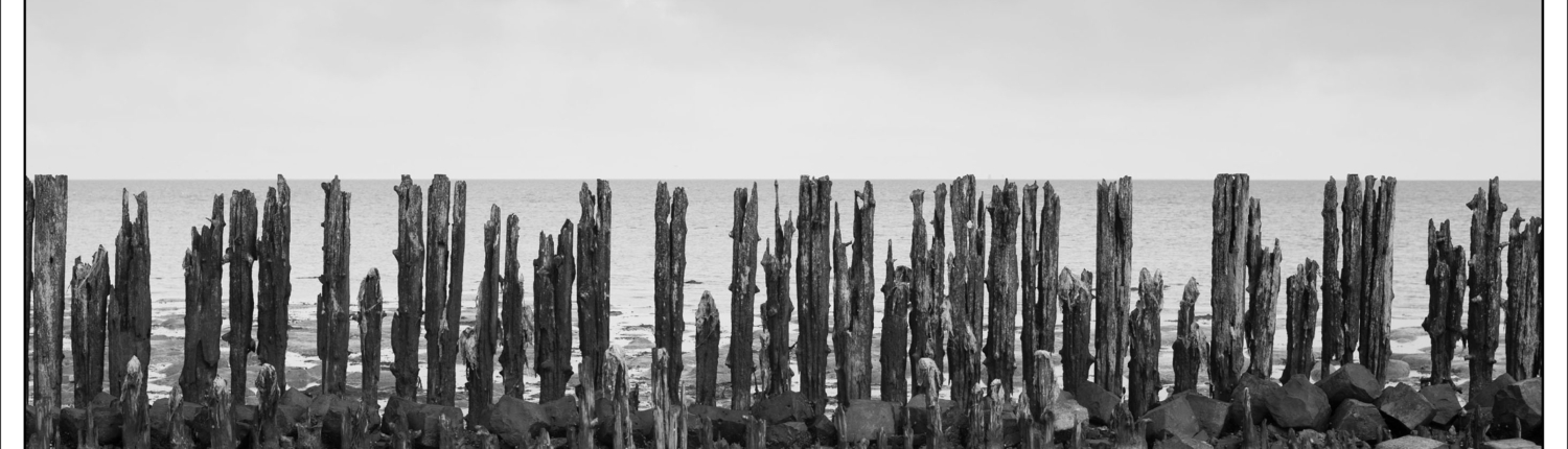 2020-ModdergatFriesland-WEBSITE