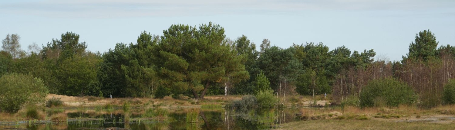 Albert H. Header