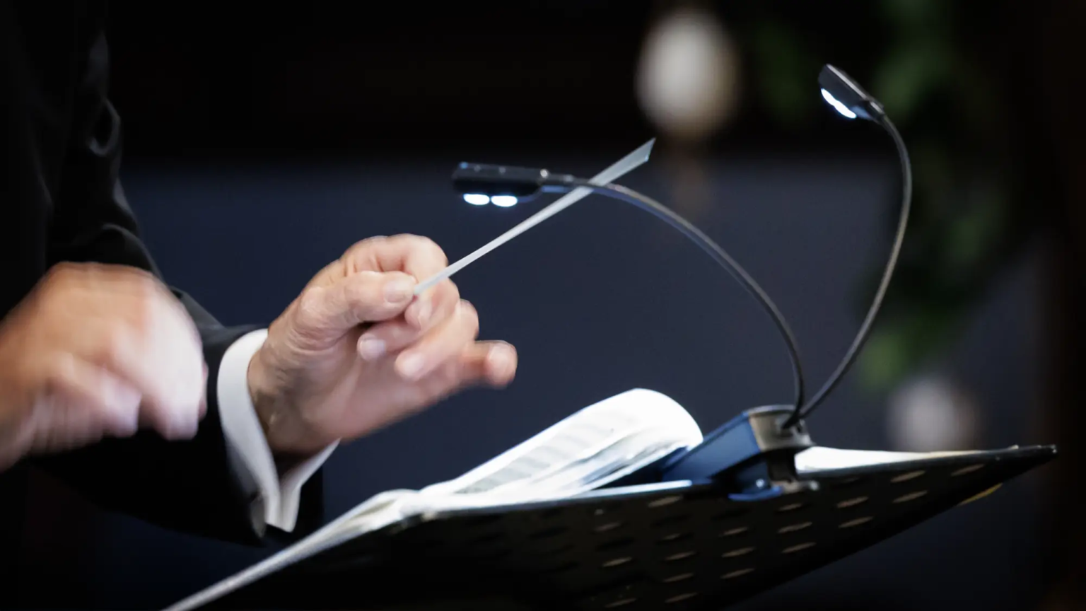 Conductor asks for attention, Asten, Fotomath