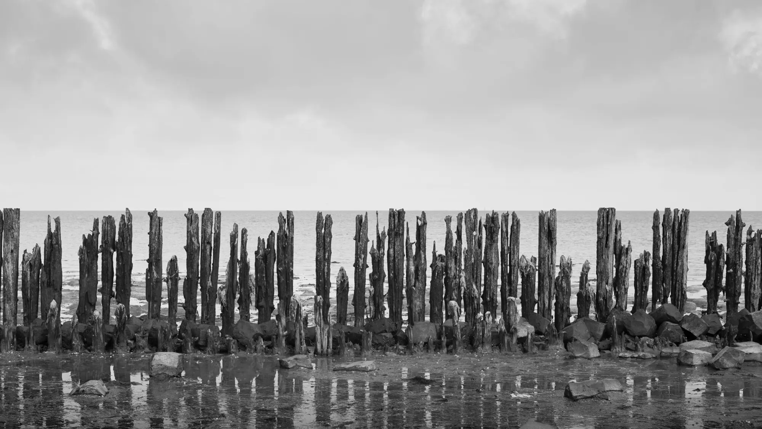 Moddergat, Friesland, Peter Stevens