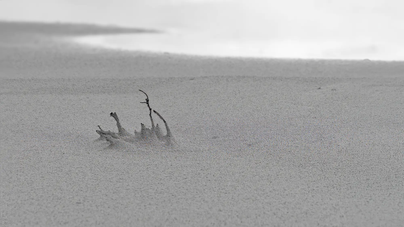 Strand, Pieter Nuij