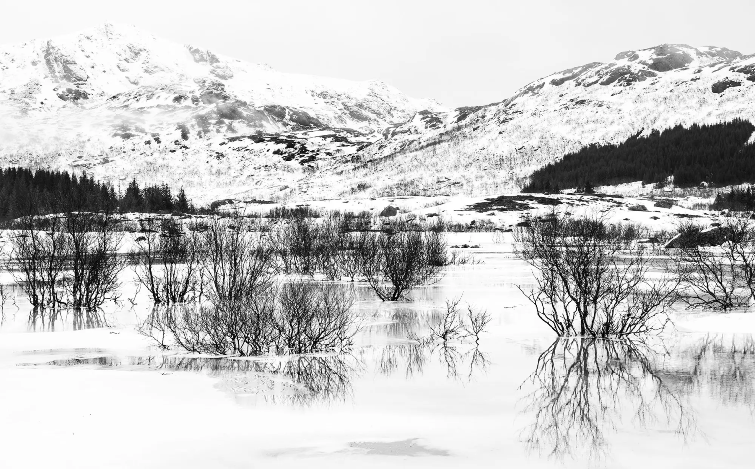Winterlandschap, Harald Harms